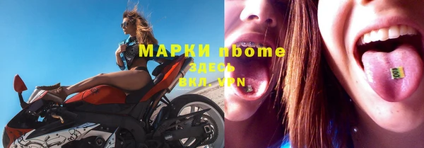 прущие грибы Алексин