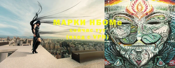 прущие грибы Алексин