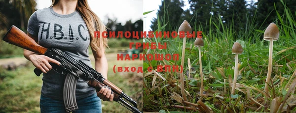 spice Алзамай