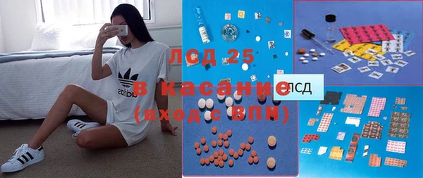 прущие грибы Алексин