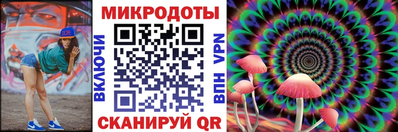 Псилоцибиновые грибы Psilocybe  Купить закладки  Ессентукская 